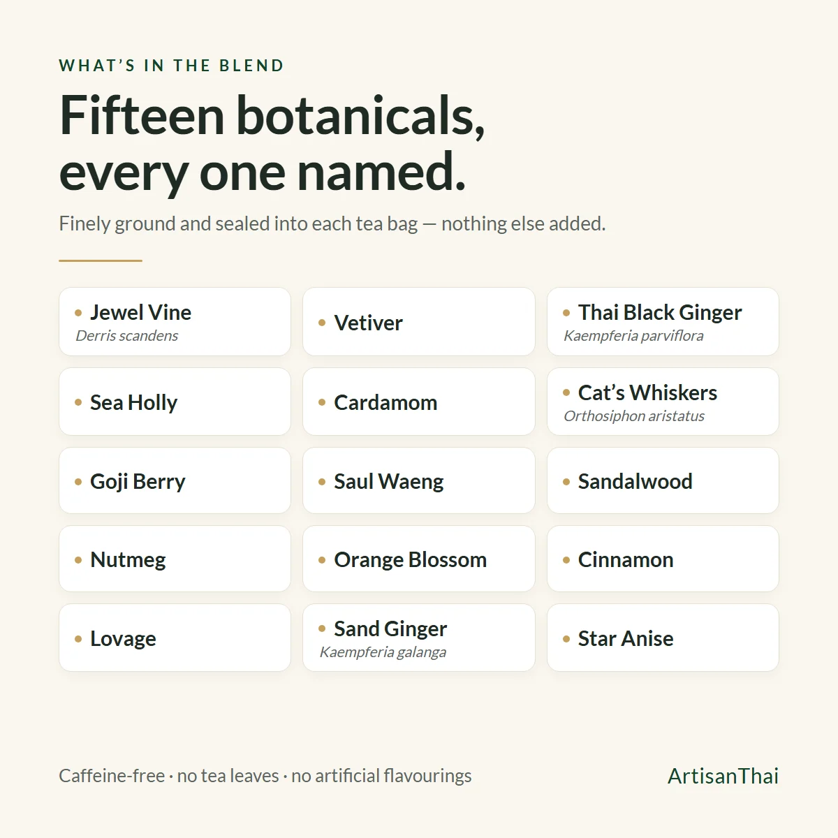Thai Botanical Tea Bags | 15 Botanical Blend | Caffeine-Free | ArtisanThai 7 The fifteen botanicals in ArtisanThai Thai botanical tea bags: Jewel Vine (Derris scandens), Vetiver, Thai Black Ginger (Kaempferia parviflora), Sea Holly, Cardamom, Catβs Whiskers (Orthosiphon aristatus), Goji Berry, Saul Waeng, Sandalwood, Nutmeg, Orange Blossom, Cinnamon, Lovage, Sand Ginger (Kaempferia galanga), Star Anise
