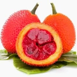 GAC Fruit Powder Capsules – 100% Pure Superfood Supplement | High Antioxidant, Vitamin-Rich | 60 Vegan Pills